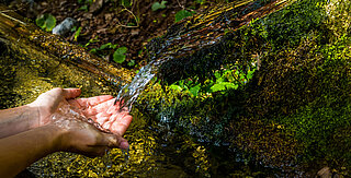 Hände waschen über Naturquelle