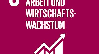 SDG 8: Menschenwürdige Arbeit und Wirtschaftswachstum