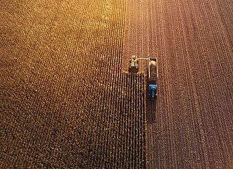 Trecker mit Kornmühle auf Feld im Sonnenuntergang