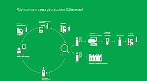 Infografik: Unser Rücknahmeprozess: Vom gebrauchten Kältemittel zum Neuprodukt.