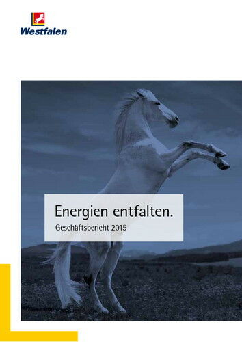 Geschäftsbericht 2015 Westfalen Gruppe